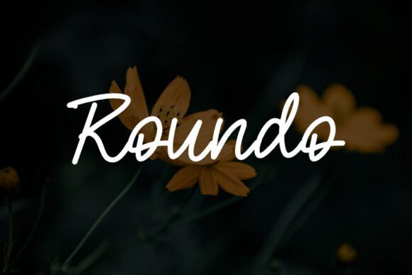 Roundo: A Versatile Font for Elevating Your Brand